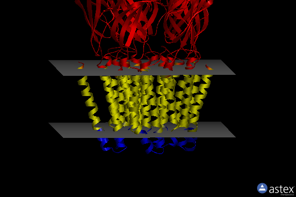 Membrane view of 4hfi