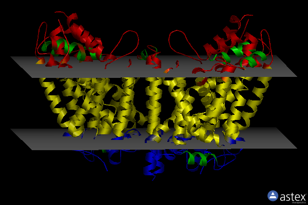 Membrane view of 4hmk