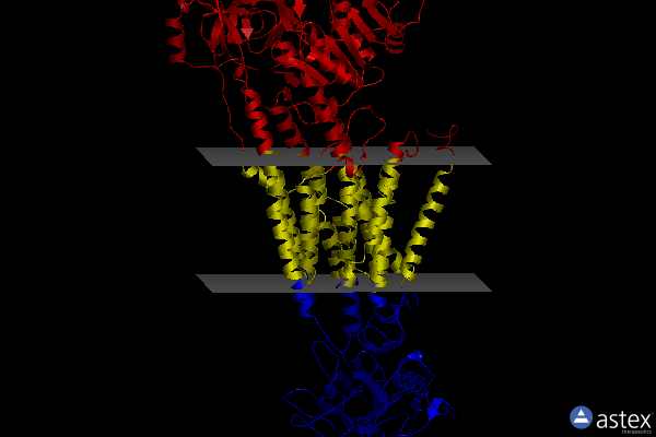 Membrane view of 4hqj