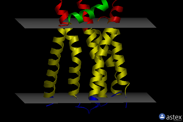 Membrane view of 4htt