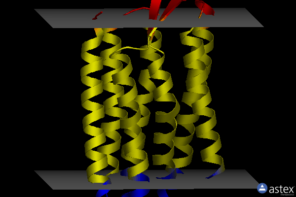 Membrane view of 4hwl