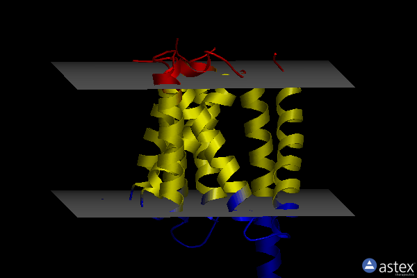 Membrane view of 4hyg