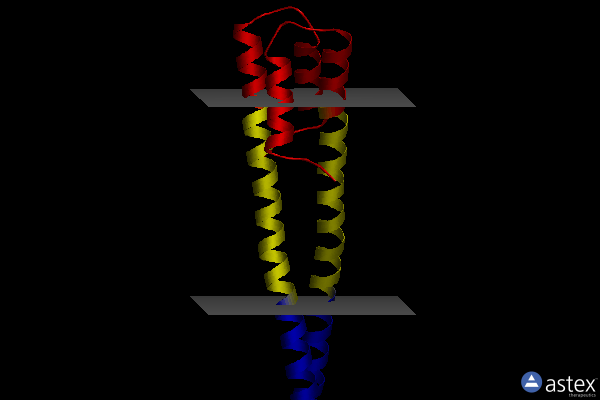 Membrane view of 4iff