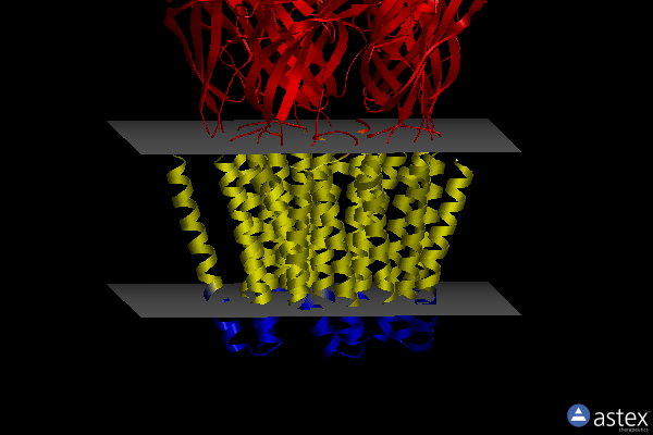 Membrane view of 4il4