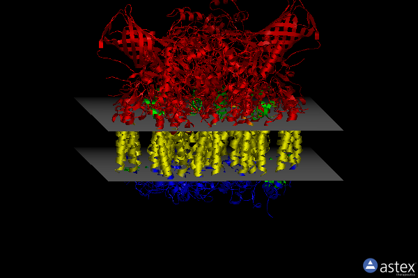 4il6