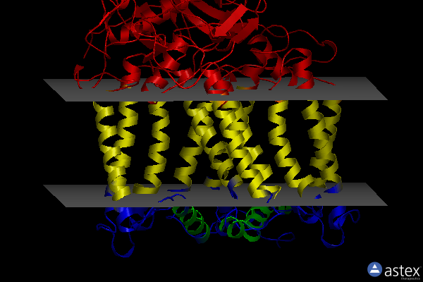 Membrane view of 4in7