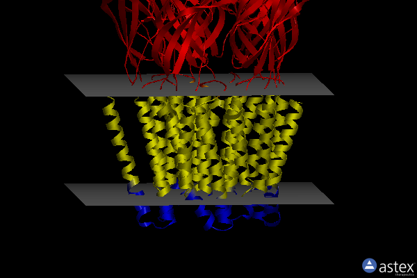 Membrane view of 4ire