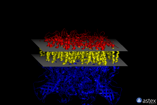Membrane view of 4ixq