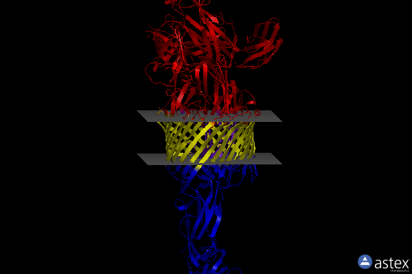 Membrane view of 4j3o