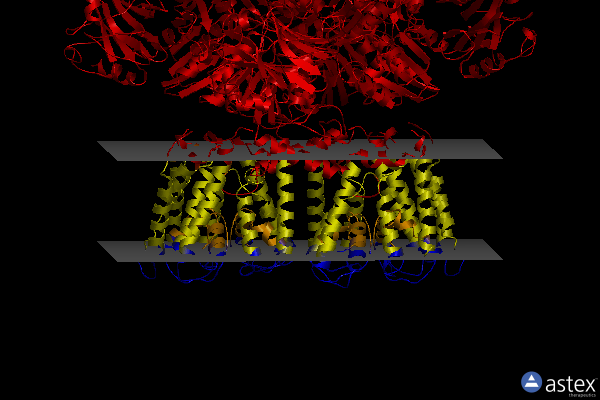 Membrane view of 4j9u