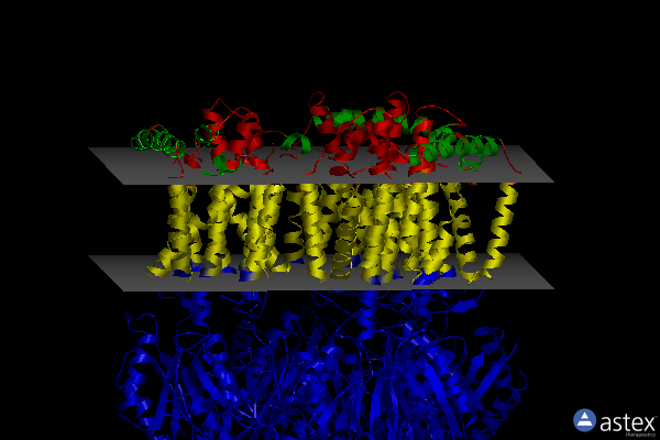 Membrane view of 4k7q