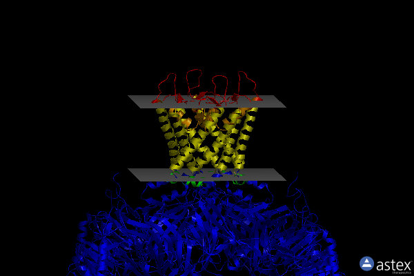 Membrane view of 4kfm