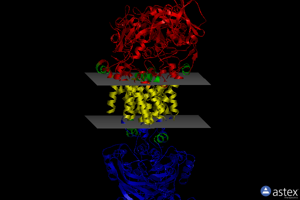 Membrane view of 4khz