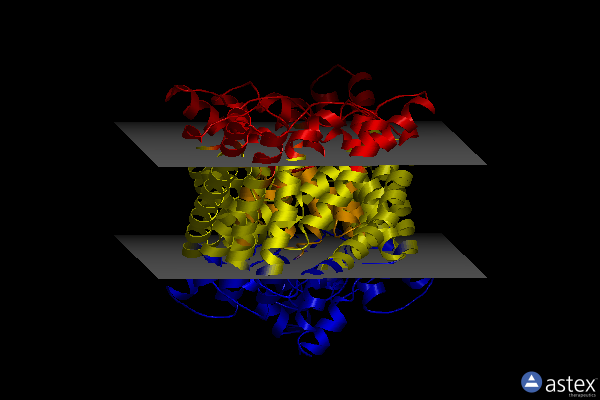 Membrane view of 4kjp