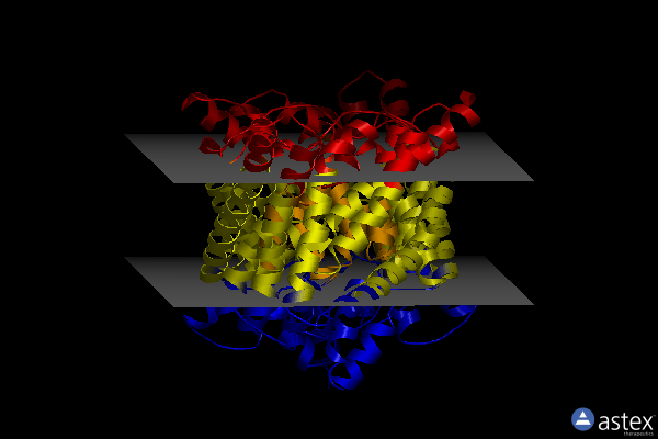Membrane view of 4kjq