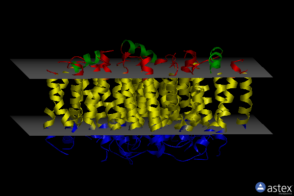 Membrane view of 4kjr