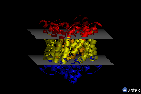 Membrane view of 4kk5