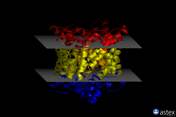 Membrane view of 4kk6