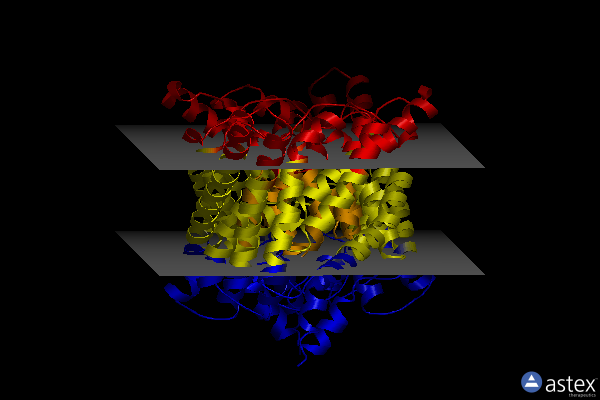 Membrane view of 4kk8