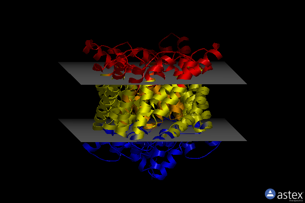 Membrane view of 4kkb
