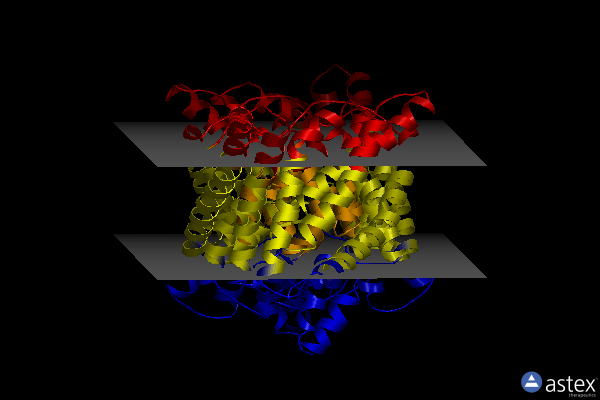 Membrane view of 4kkl