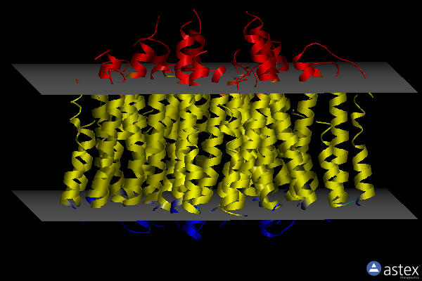 Membrane view of 4kly
