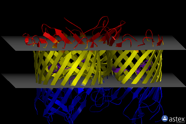 Membrane view of 4kra