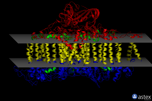 4l6v