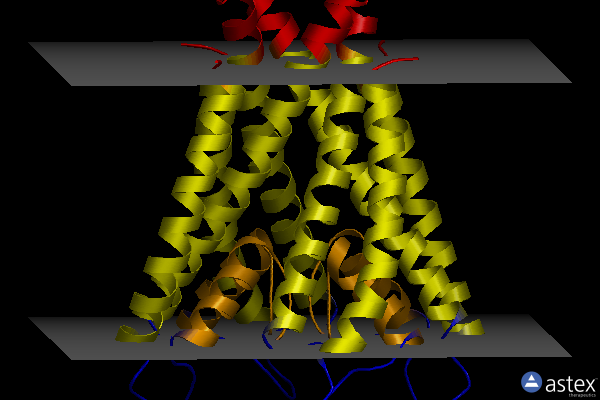 Membrane view of 4lbe