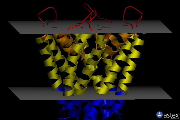 Membrane view of 4lcu