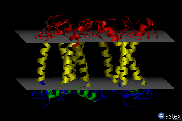 Membrane view of 4lcz