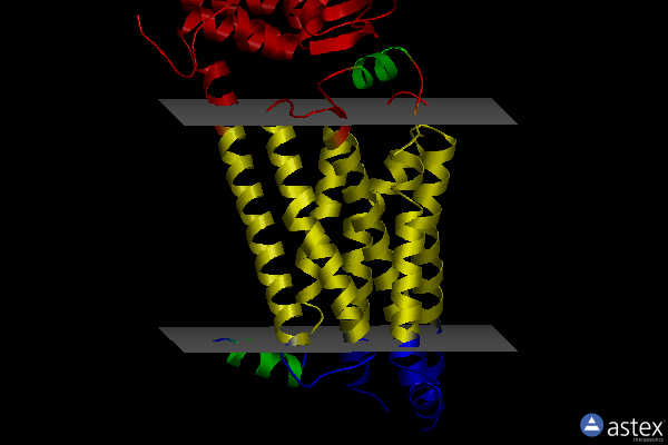 Membrane view of 4ldl