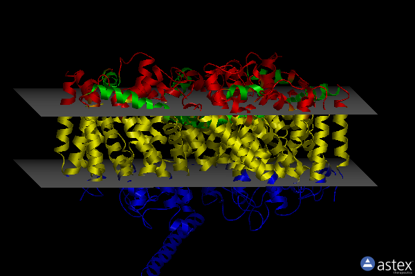 Membrane view of 4llh