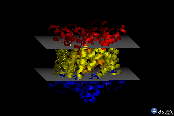 Membrane view of 4lou
