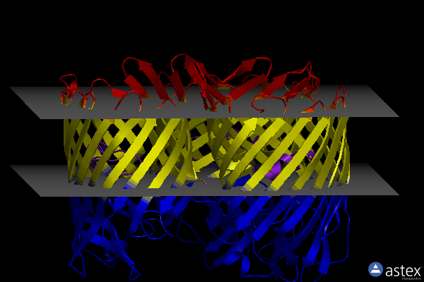 Membrane view of 4lse