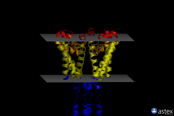 Membrane view of 4ltr