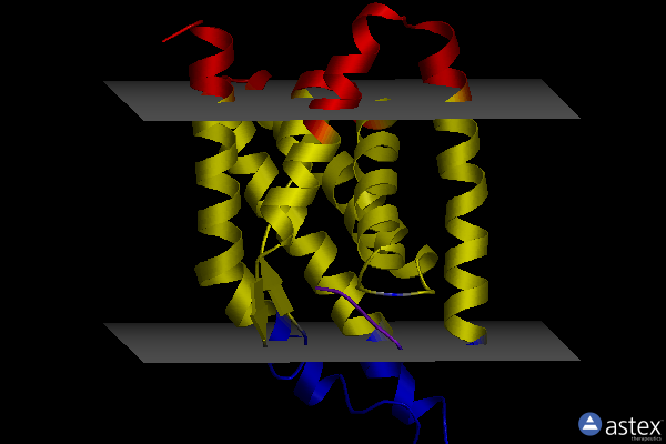 Membrane view of 4m5b