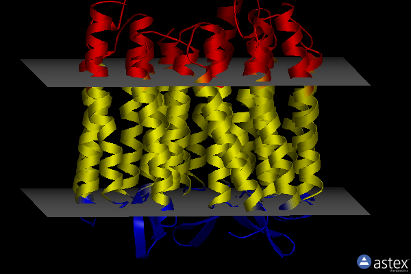 Membrane view of 4md1