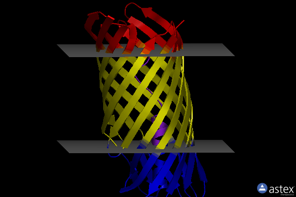 Membrane view of 4mee