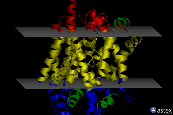 Membrane view of 4mm7