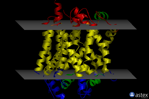 Membrane view of 4mm9