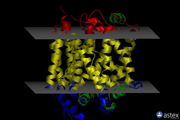 Membrane view of 4mma