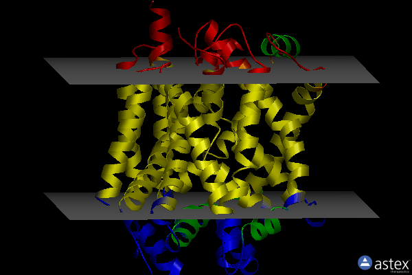 Membrane view of 4mmb