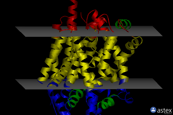 Membrane view of 4mmc
