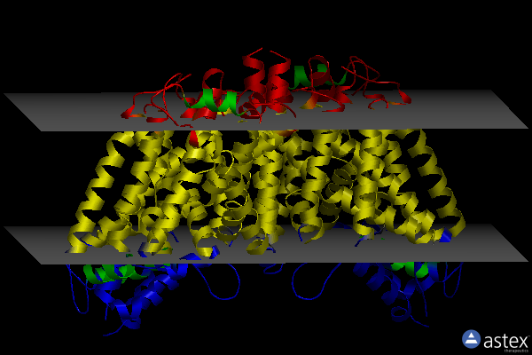 Membrane view of 4mmd