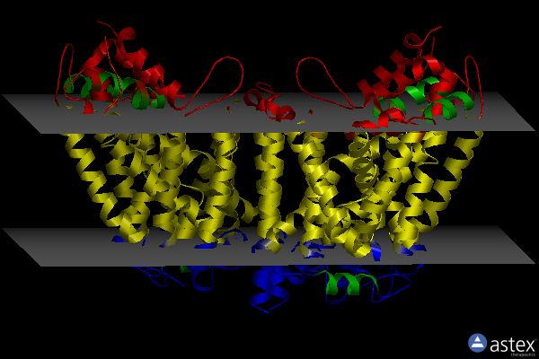Membrane view of 4mme