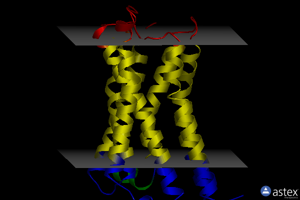 Membrane view of 4mqs