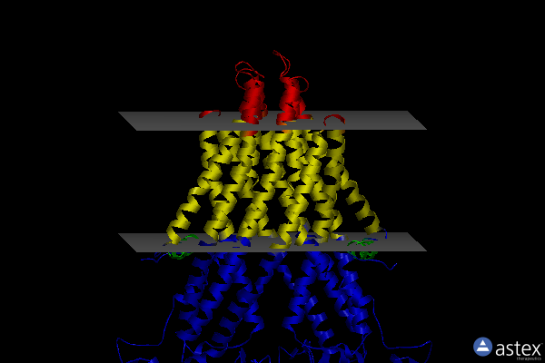 Membrane view of 4mrn