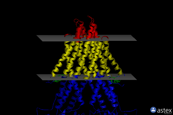 Membrane view of 4mrv