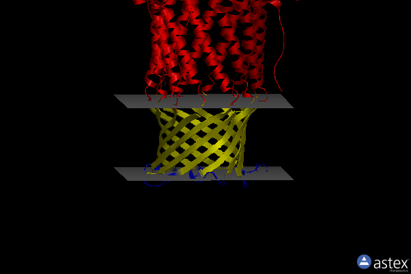 Membrane view of 4mt0